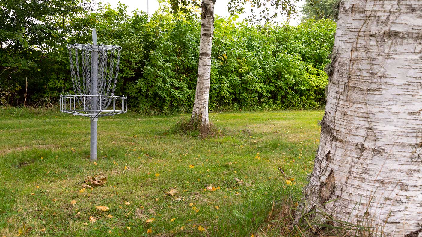 Discgolfkorg på gräsmatta med några träd.