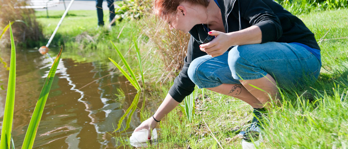 Deltagare tar vattenprov i Kävestas damm, för en laboration i naturvetenskap.