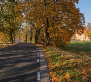 Vägen fortsätter längs en allé. Långt bort syns ett stort gult/orange stenhus.