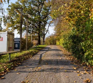 En grusväg omgärdad av träd och häckar. Till vänster syns en släpkärra med texten Circle K.