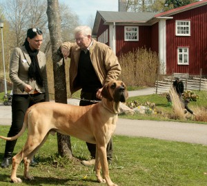 Mingel med hund på Kävestadagen 2012.