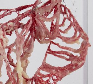 Ett objekt i köttliknande toner, som ser ut som en lunga eller ett organ, gjort i garn och plast.