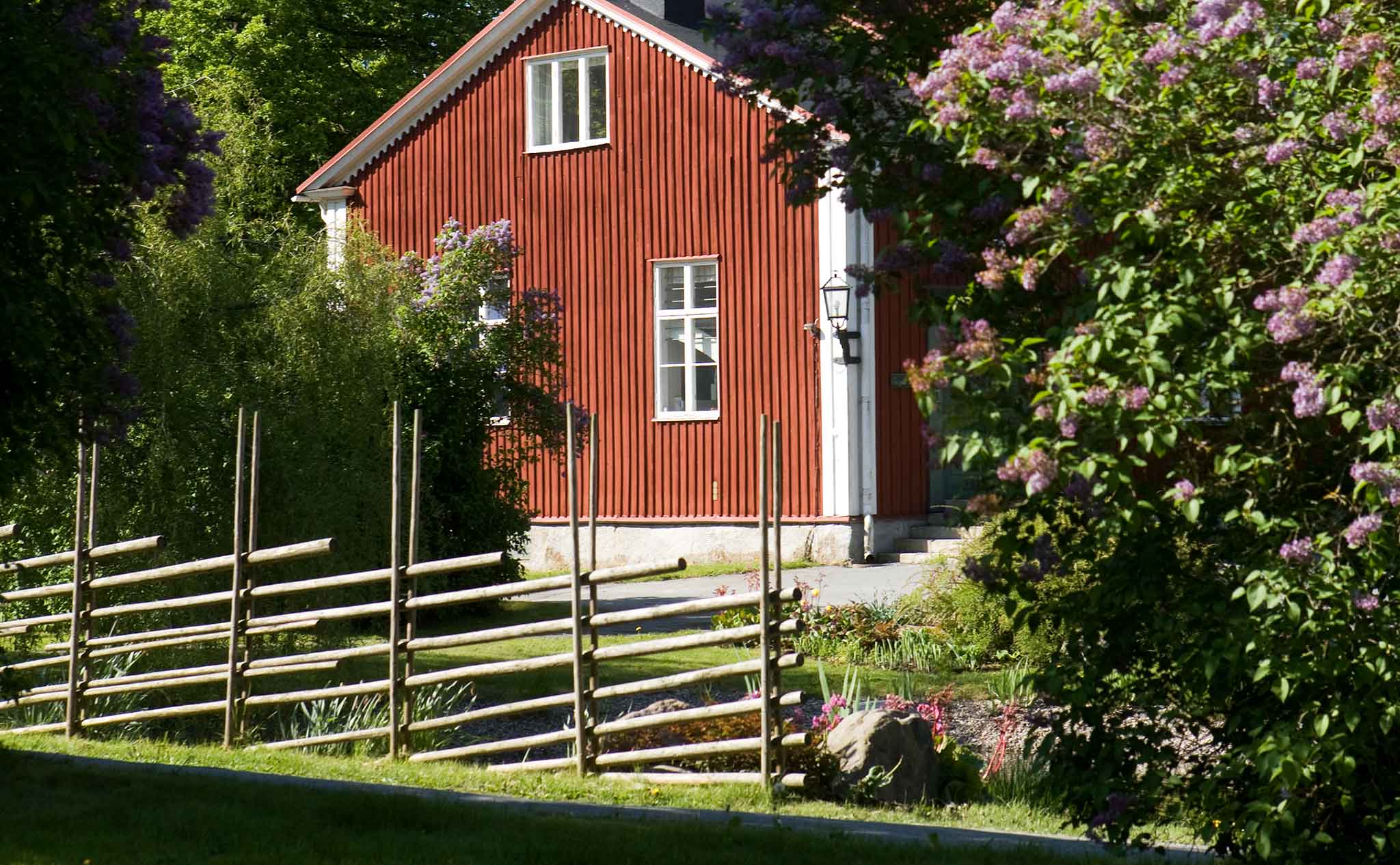 Ett rött hus syns bakom en gärdesgård och en blommande syrénbuske.